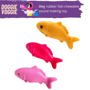 Buy Chew Sound Toys for Dogs and Puppies in India